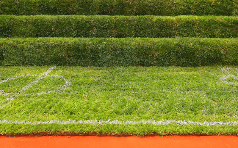 turf-field-with-shrubs